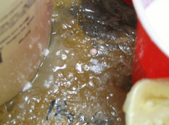 膠水起泡現(xiàn)象